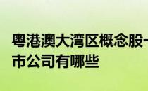 粤港澳大湾区概念股一览粤港澳大湾区概念上市公司有哪些