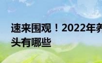 速来围观！2022年养老地产概念上市公司龙头有哪些