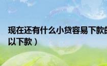 现在还有什么小贷容易下款的?介绍几个?（还有哪些小贷可以下款）