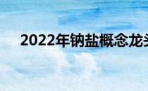 2022年钠盐概念龙头股票一览值得收藏