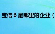 宝信Ｂ是哪里的企业（宝信Ｂ属于什么行业）