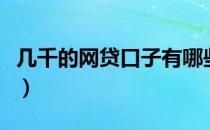 几千的网贷口子有哪些（网贷大额口子有哪些）