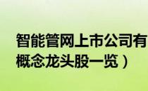 智能管网上市公司有哪些（2022年智能管网概念龙头股一览）