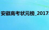 安徽高考状元榜_2017年安徽高考文理科状元