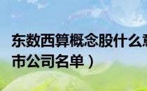 东数西算概念股什么意思（涉及东数西算的上市公司名单）