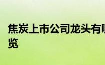 焦炭上市公司龙头有哪些焦炭上市公司概念一览