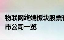 物联网终端板块股票有哪些物联网终端概念上市公司一览