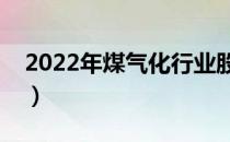 2022年煤气化行业股票有哪些（有你的票吗）