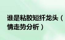 谁是粘胶短纤龙头（2021年粘胶短纤价格行情走势分析）