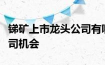 锑矿上市龙头公司有哪些把握锑矿概念上市公司机会