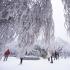 9月多地迎来第一场雪