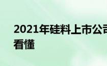 2021年硅料上市公司龙头股一览1分钟教你看懂