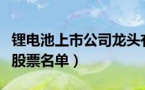 锂电池上市公司龙头有哪些（锂电池上市公司股票名单）