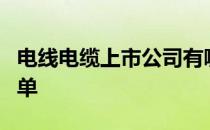 电线电缆上市公司有哪些电线电缆上市公司名单