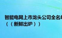 智能电网上市龙头公司全名单揭晓！智能电网概念股有哪些（（新鲜出炉））