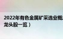 2022年有色金属矿采选业概念股有那些（有色金属矿采选业龙头股一览）