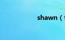 shawn（fanning）