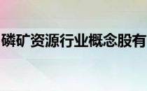 磷矿资源行业概念股有哪些磷矿资源股票一览