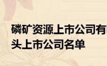 磷矿资源上市公司有哪些2022年磷矿资源龙头上市公司名单