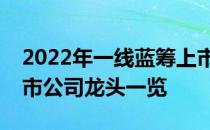 2022年一线蓝筹上市公司有哪些一线蓝筹上市公司龙头一览