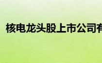 核电龙头股上市公司有哪些核电概念股一览