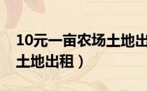 10元一亩农场土地出租肇庆（10元一亩农场土地出租）