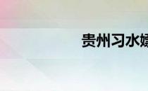 贵州习水嫖宿案