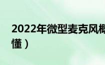 2022年微型麦克风概念股龙头名单（一看就懂）