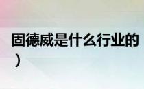 固德威是什么行业的（固德威主营业务是什么）