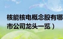 核能核电概念股有哪些（2022年核能核电上市公司龙头一览）