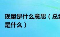 现量是什么意思（总量和现量以及量比的关系是什么）