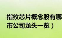 指纹芯片概念股有哪些（2022年指纹芯片上市公司龙头一览）