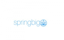 springbig宣布了2022年第一季度财务亮点