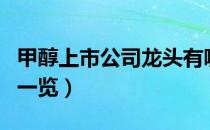 甲醇上市公司龙头有哪些（甲醇相关上市公司一览）