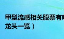 甲型流感相关股票有哪些（甲型流感概念股票龙头一览）