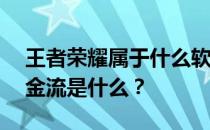 王者荣耀属于什么软件 ——王者荣耀的资金流是什么 