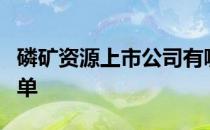 磷矿资源上市公司有哪些磷矿资源上市公司名单