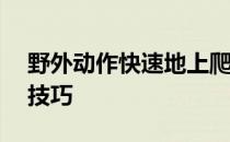 野外动作快速地上爬——野外动作快速爬管技巧