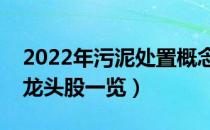 2022年污泥处置概念股票有那些（污泥处置龙头股一览）