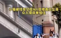 小猫从6层楼高空坠落众人撑床单接住