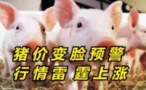 猪肉价格进入过度上涨一级预警区间