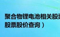 聚合物锂电池相关股票有哪些（聚合物锂电池股票股价查询）