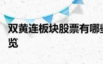 双黄连板块股票有哪些双黄连概念上市公司一览