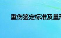 重伤鉴定标准及量刑（重伤鉴定标准）