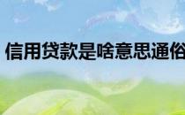 信用贷款是啥意思通俗（信用贷款是啥意思）