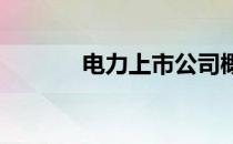 电力上市公司概念龙头股一览