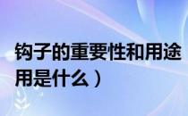 钩子的重要性和用途（钩子有几种如何获得作用是什么）