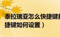 泰拉瑞亚怎么快捷键打开控制台（泰拉瑞亚快捷键如何设置）