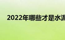 2022年哪些才是水泥上市公司龙头股（）