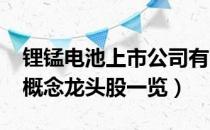 锂锰电池上市公司有哪些（2022年锂锰电池概念龙头股一览）